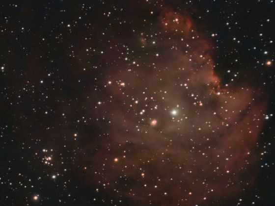 NGC2174 Seestar