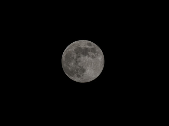 Mond (99%, zunehmend) am 26.12.2023