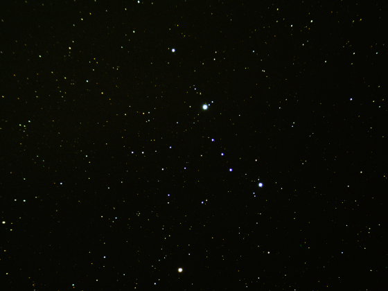 Lambda Orionis Cluster