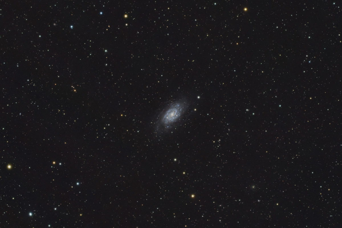 NGC2403 (widefield)