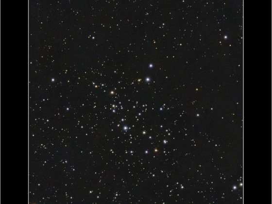 NGC1342
