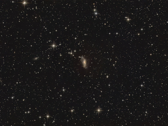 Staubhand-Galaxie NGC2146