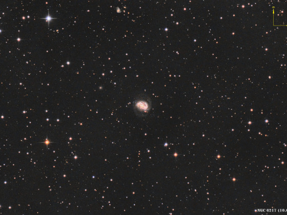 ARP 185 bzw. NGC 6217, Galaxie im Sternbild Kleiner Bär