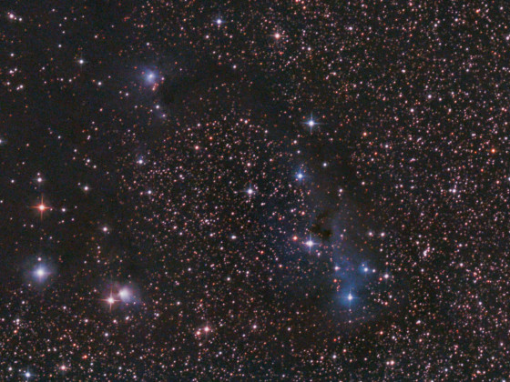 Reflexionsnebel: rechts IC 2169 mit IC 447, oben links IC 446, unten links NGC 2245 +  NGC 2247: 6" Newton bei f/3, Canon 77da; Optolong l-pro; 195x30 sec; Bildausschnitt; N = oben links; bortle 7-8; 09.01.2024;