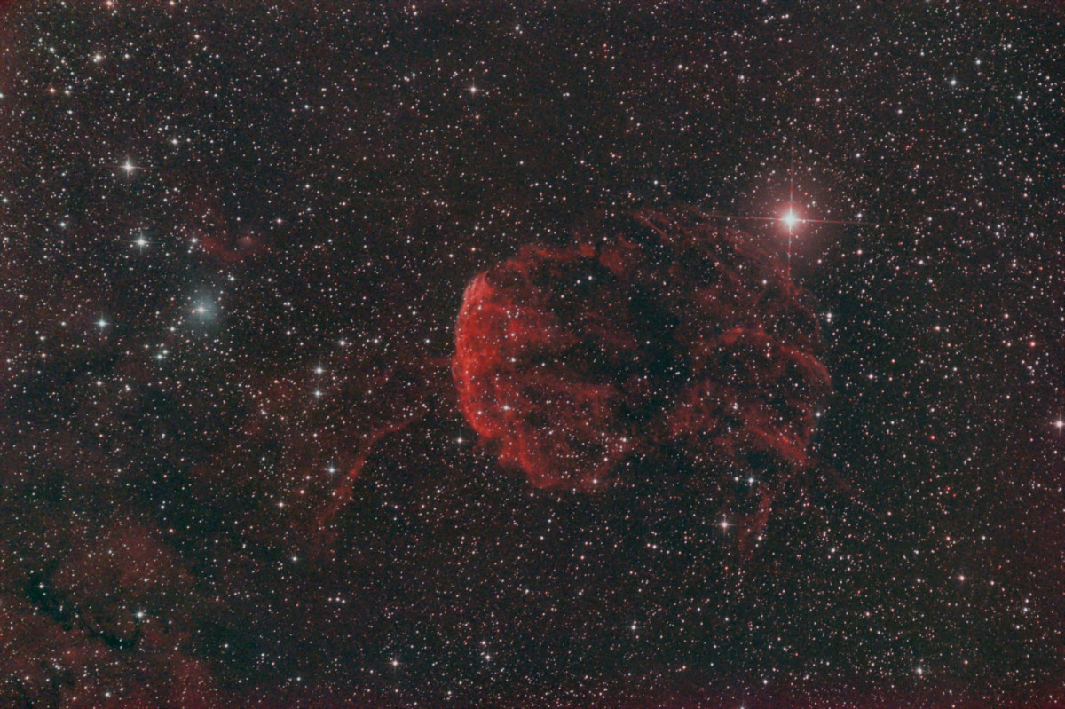 Quallennebel IC 443 mit 6" Newton bei f/3 und Canon 77da; 230x30sec mit IDAS V4-Nebelfilter; bortle 8 und dunstiger Himmel; vom 10.01.2024;