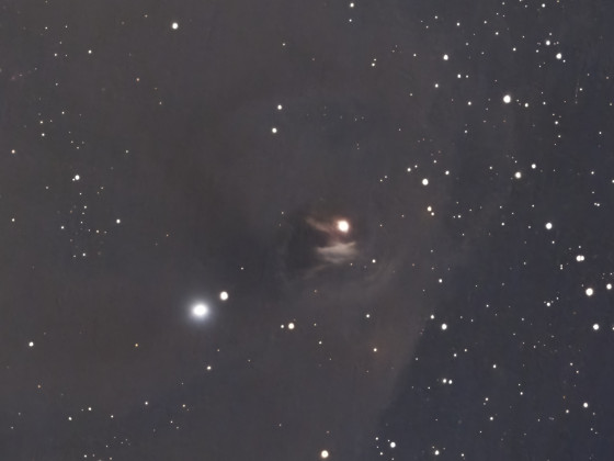 NGC1555 Hinds Variable Nebula