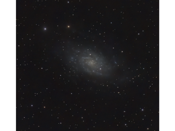 NGC 2403 mit dem Seestar
