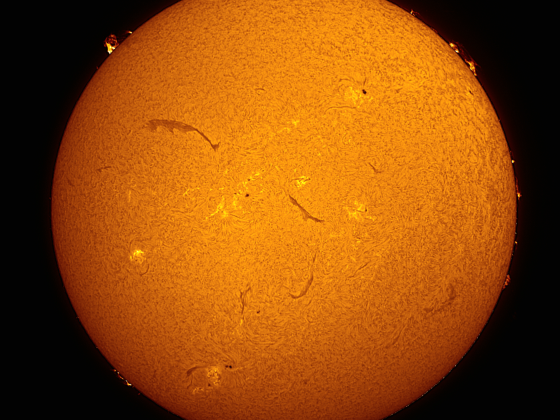 H-alpha Sonne v. 20.1.-24