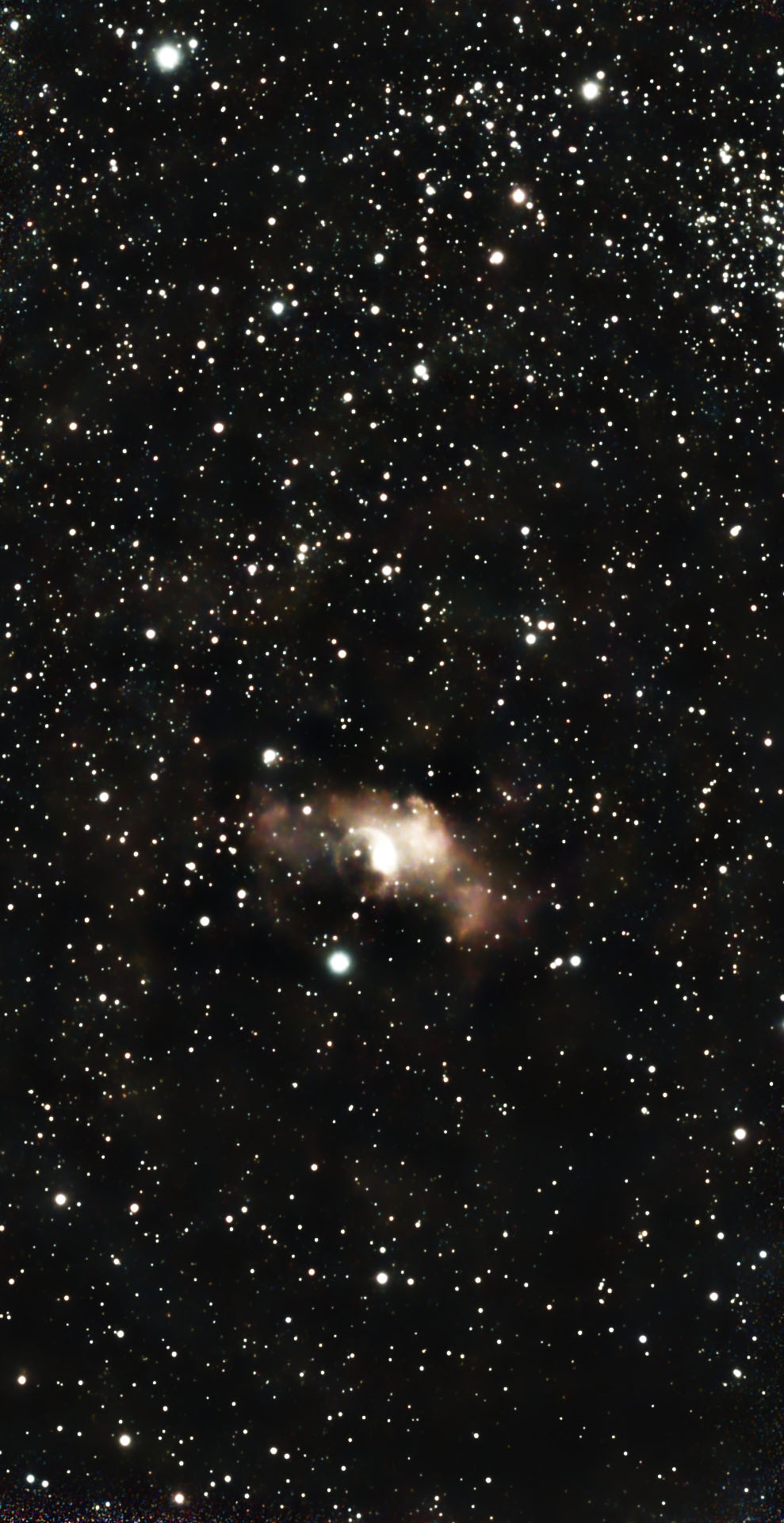 NGC 7635, 1 h (Siril, Graxpert, Denoise, Crop, PS)
