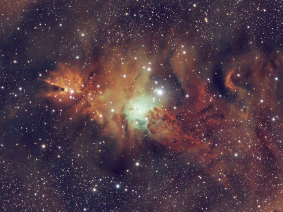 NGC2264 Weihnachtsbaumhaufen und Konusnebel