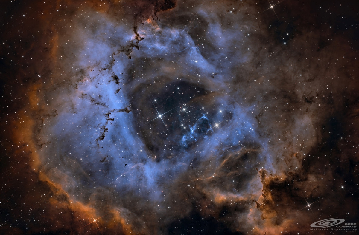 NGC2244 / NGC2237