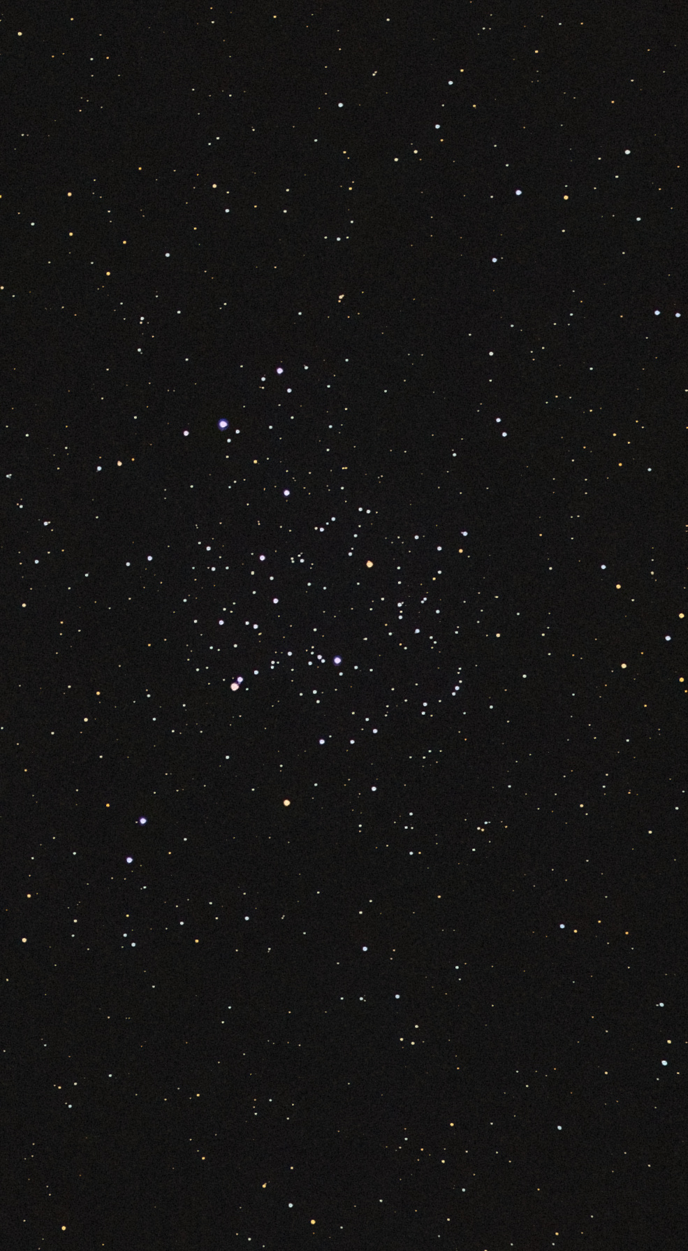 M35 / NGC2168