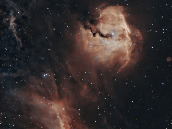 IC2177 - Der Kopf der Möwe