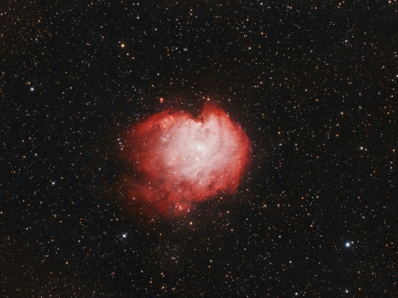 NGC2175 Affenkopfnebel