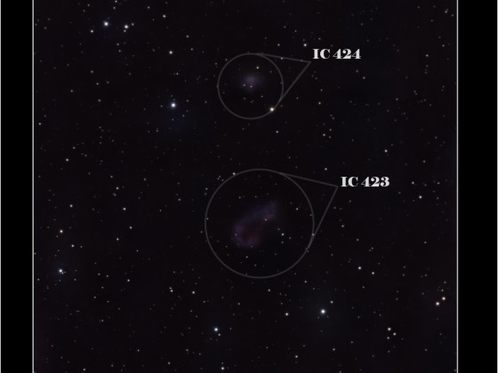 IC423-IC424
