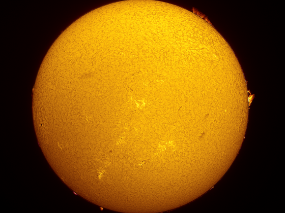 Sonne in H alpha v.1.2.