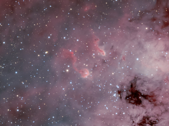 NGC 1893 und die "Tadpoles" in IC 410