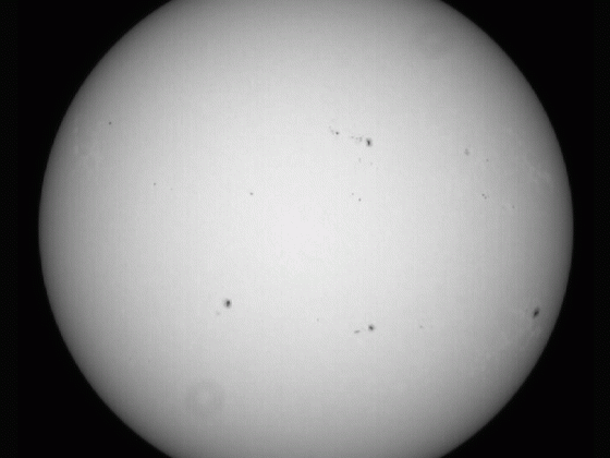 Sonne Animation 24.06.2023 - 04.02.2024 (91 Bilder) - 8" Newton - EOS 700D - Weißlicht