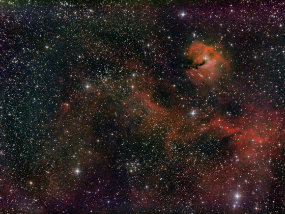 IC 2177 von 2024: Möwennebel Nordteil mit etwas mehr H-II und schwächeren Sternen