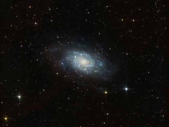 NGC2403 im Sternbild Giraffe (Begleiter M81/M82)