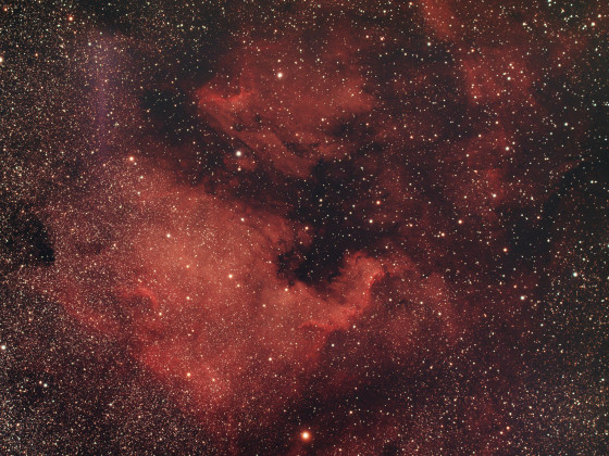 Nordamerikanebel NGC  7000 + Pelikannebel IC 5070 über Dresden
