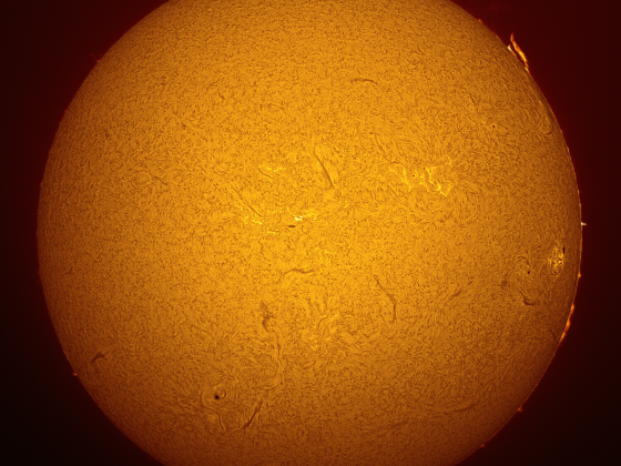 H alpha Sonne v. 18.2.-24