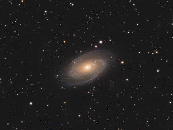 M81 (Crop)