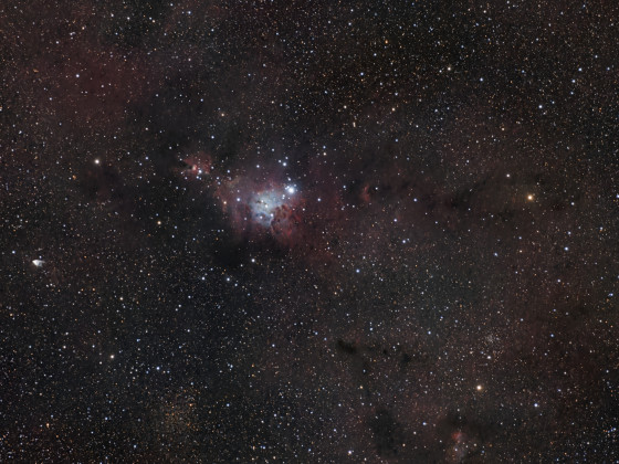 NGC2264 / Christmas Tree Cluster