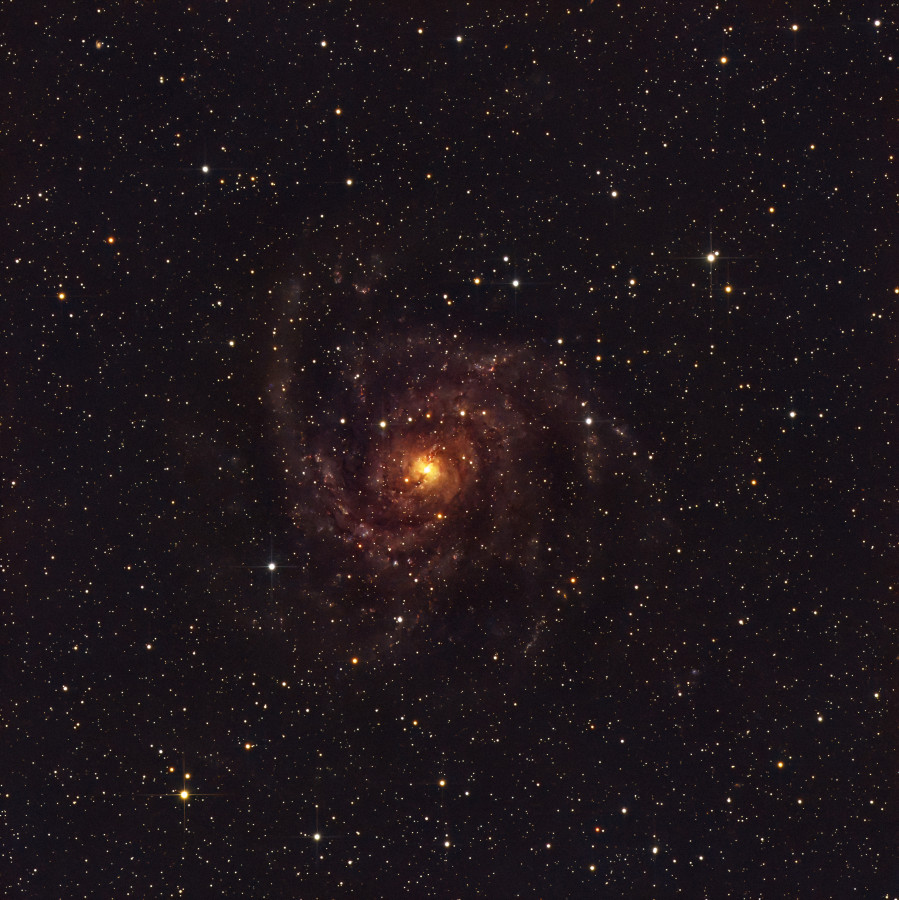 IC342 "Hidden Galaxy"