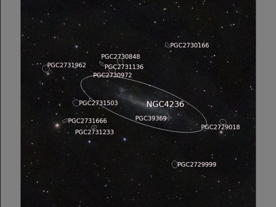 NGC 4236 vom 29.02.2024