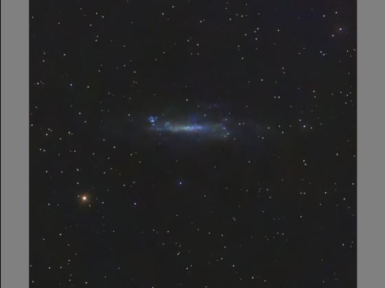 NGC 4236 vom 29.02. und 06.03.2024