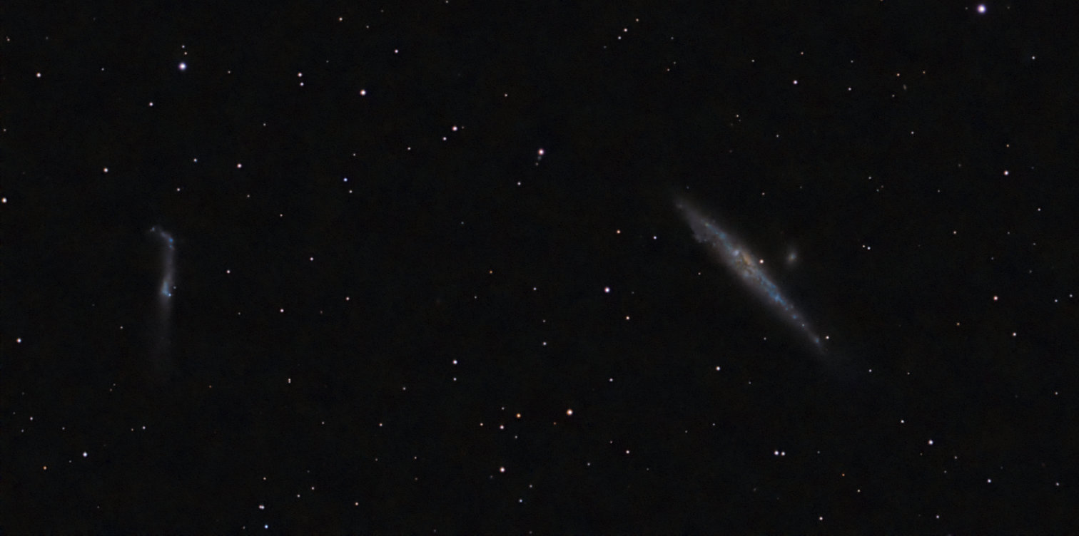 NGC4631 und NGC 4656/7