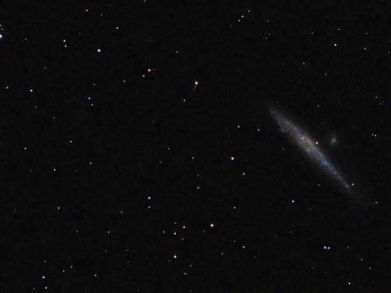 NGC4631 und NGC 4656/7