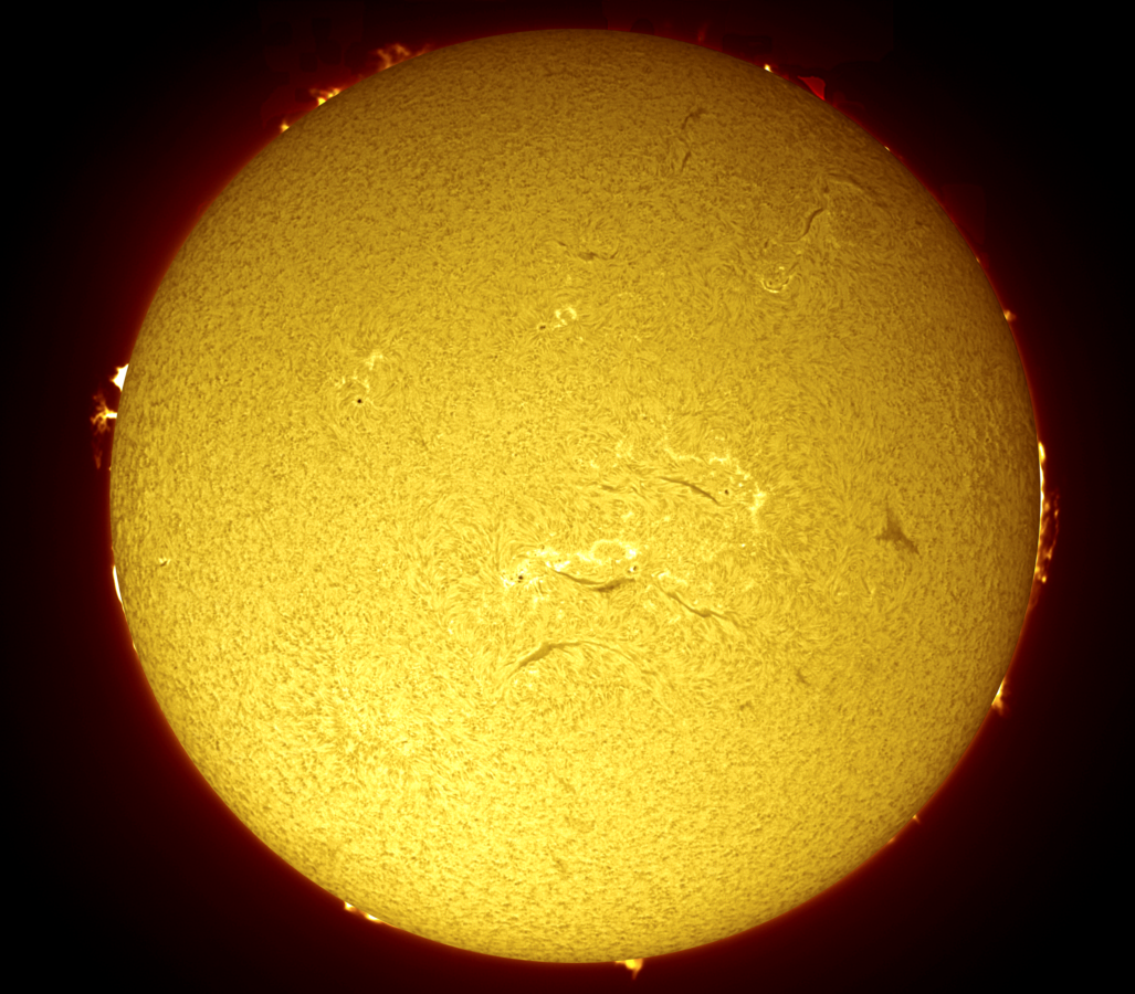 H-alpha Sonne v. 8.3.-24