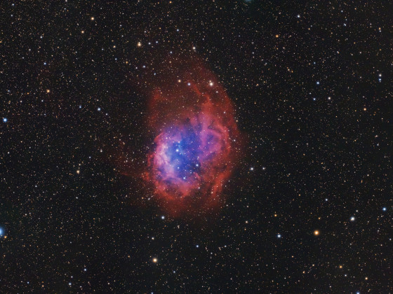Sh2-261 Lowers Nebula