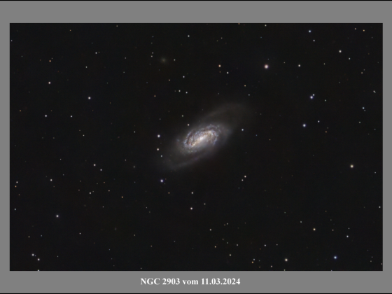 NGC 2903 vom 11.03.2024