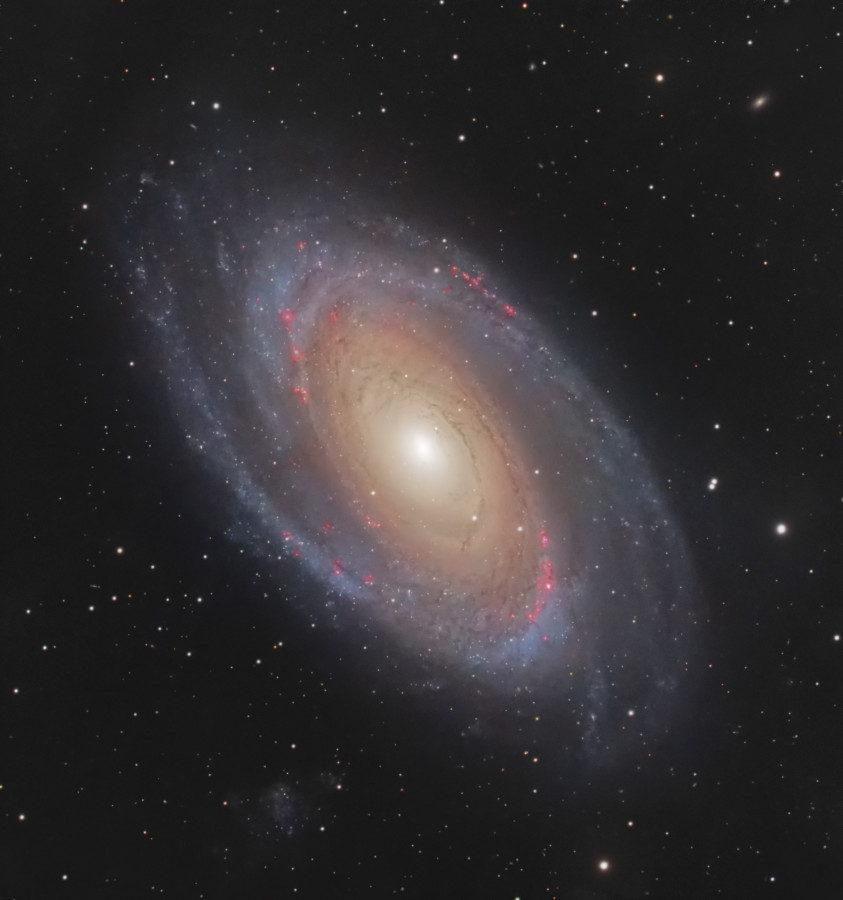 M 81 Bodes Galaxie