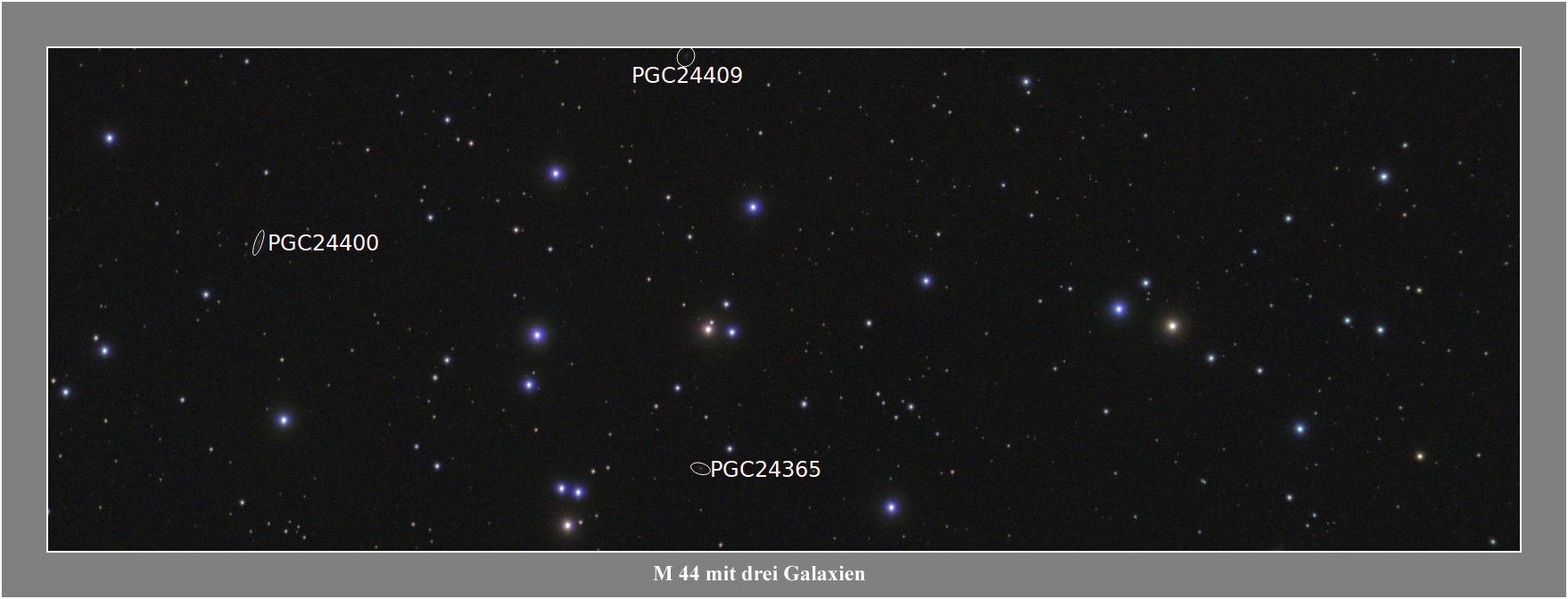 M 44 mit drei Galaxien