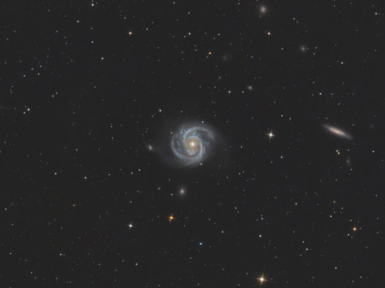 M100 und NGC 4312
