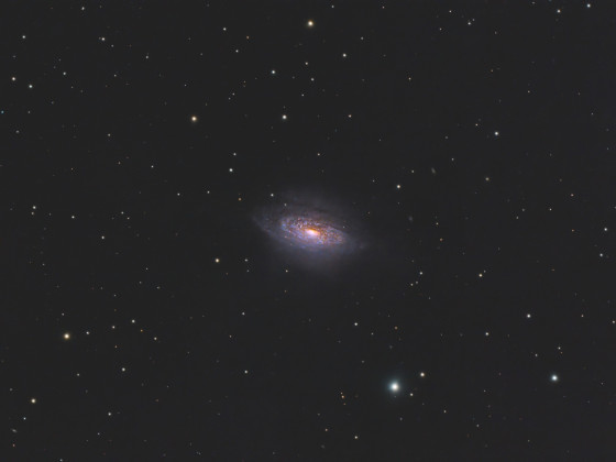 NGC 3521 - Blasengalaxie