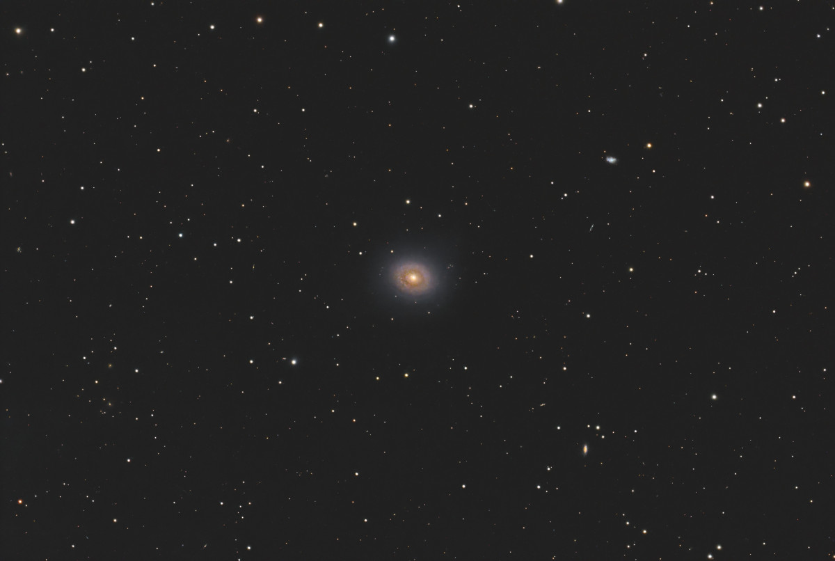 C48 (NGC 2775)
