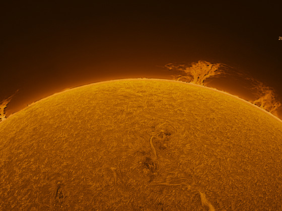 Sonnen - Protuberanzen am 19. März 2024 (12:12ut)