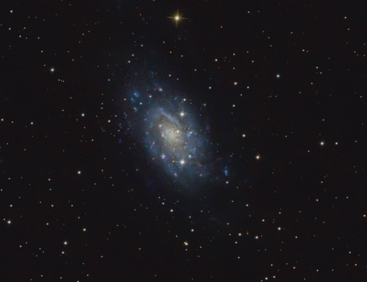 Vergleich NGC2403 mit dem Seestar und 130PDS/IMX571OSC (animated GIF)