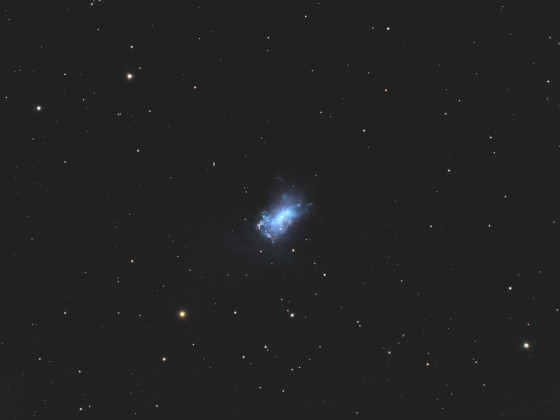 C21 (NGC 4449)