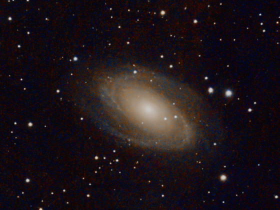 Bodes Galaxie M81
