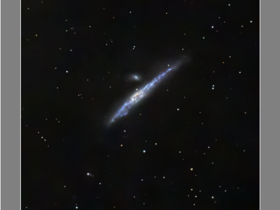 NGC 4631 vom 09. und 28.03.2024