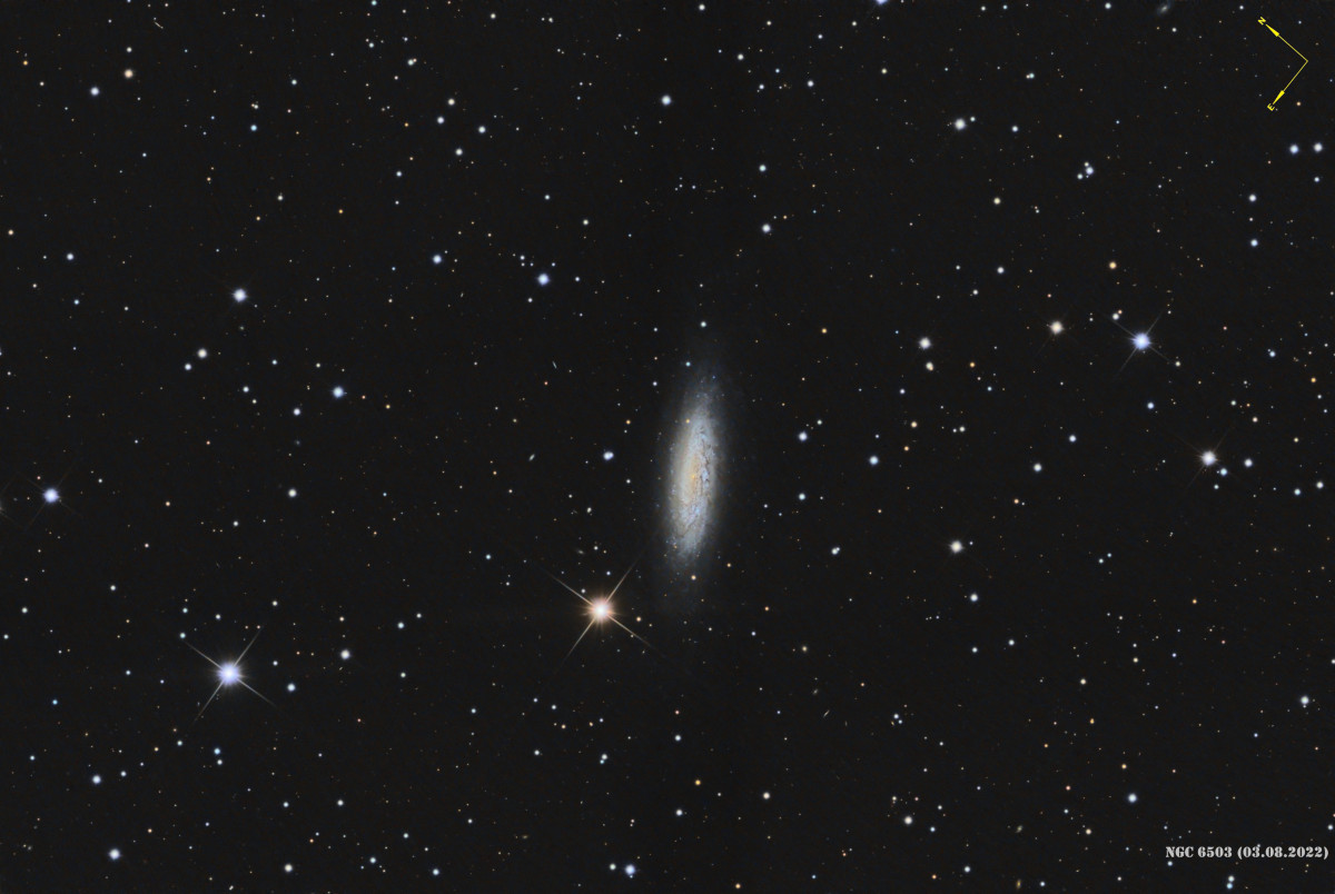 NGC 6503, eine einsame Galaxie im Sternbild Drachen