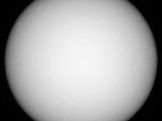 Sonne 31.03.2024 - 8" Newton - EOS 700D - Weißlicht