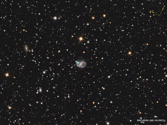 NGC 6956, eine Galaxie im Sternbild Delfin