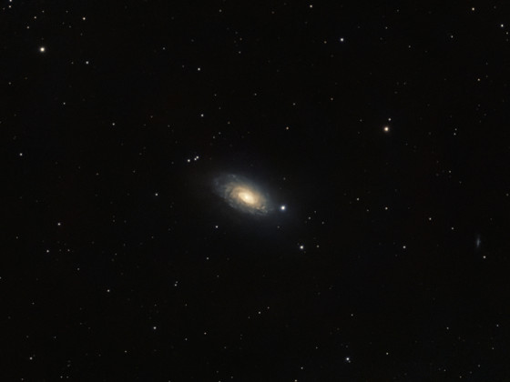 M63 / NGC5055 Sonnenblumen-Galaxie mit dem Seestar S50